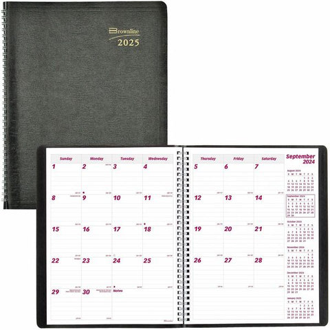 Dominion Blueline, Inc Essential 16-Month Monthly Planner, 11" x 8-1/2" , English