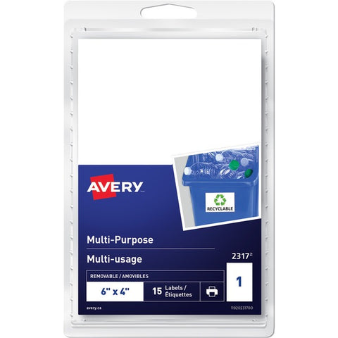 Avery Multi-Purpose Removable Labels for Laser and Inkjet Printers, 6" x 4"