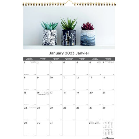 Dominion Blueline, Inc Blueline Monthly Wall Calendar
