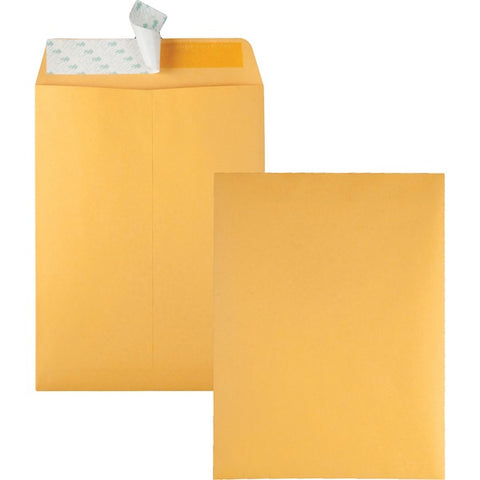 Quality Park Products Redi-Strip Kraft Catalog Envelopes